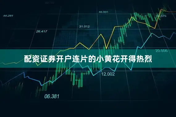 配资证券开户连片的小黄花开得热烈