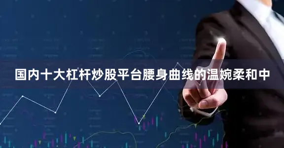 国内十大杠杆炒股平台腰身曲线的温婉柔和中
