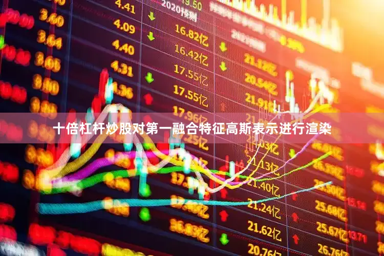十倍杠杆炒股对第一融合特征高斯表示进行渲染